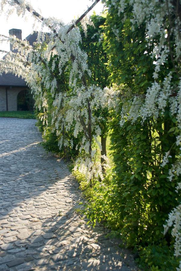 Villami Anzegem Exterior photo